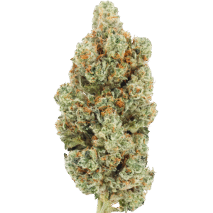 GORILLA OG|1 Ounce