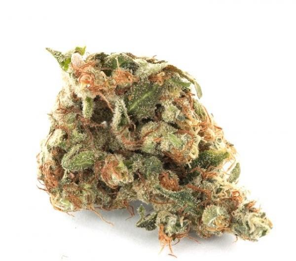 Girl Scout Cookies Hybrid Strains - Image 2